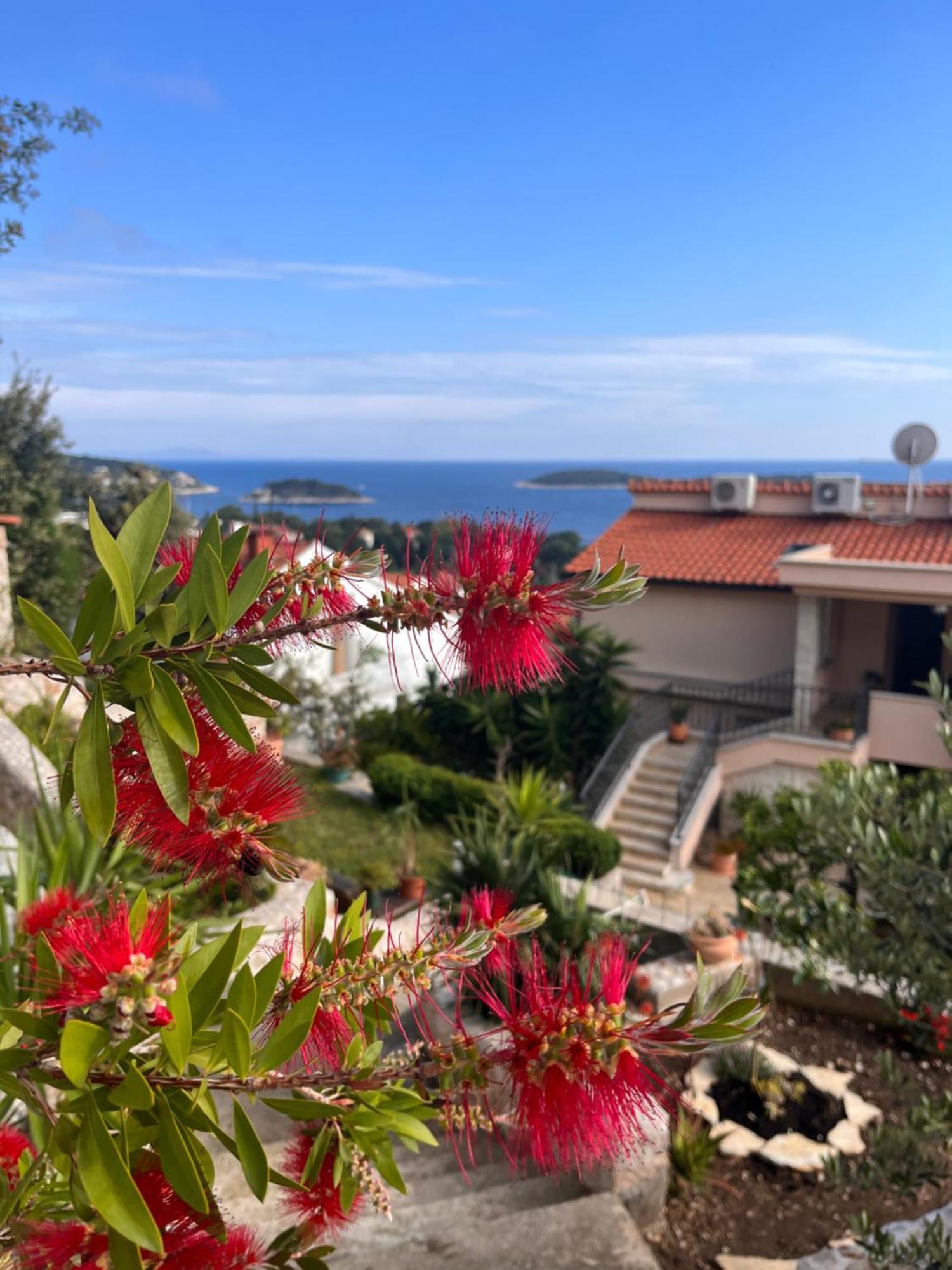 Top View Residence 赫瓦尔 外观 照片